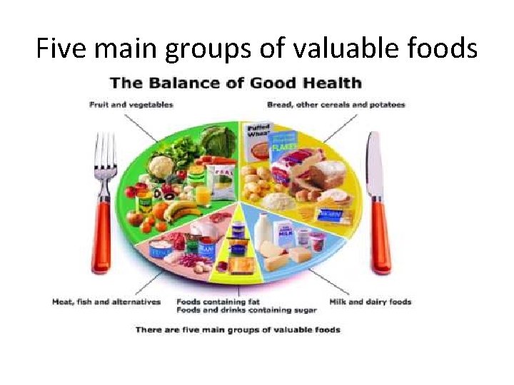 Five main groups of valuable foods 