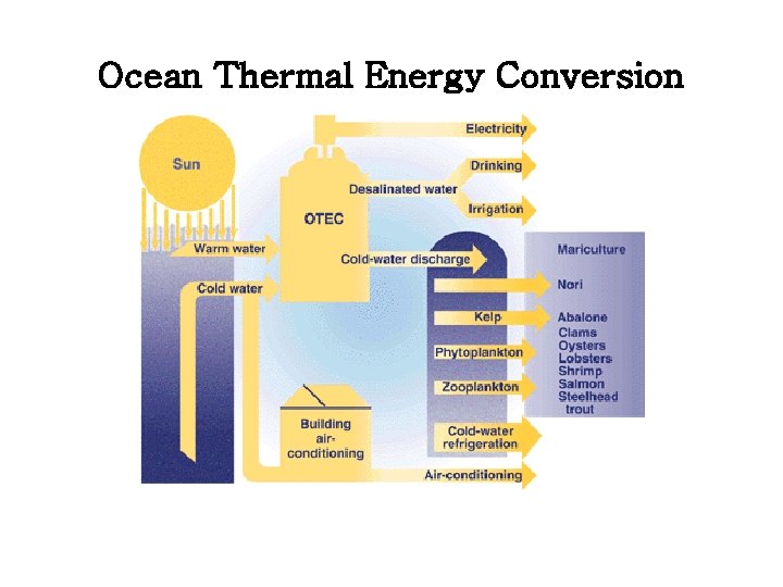 Ocean Thermal Energy Conversion 