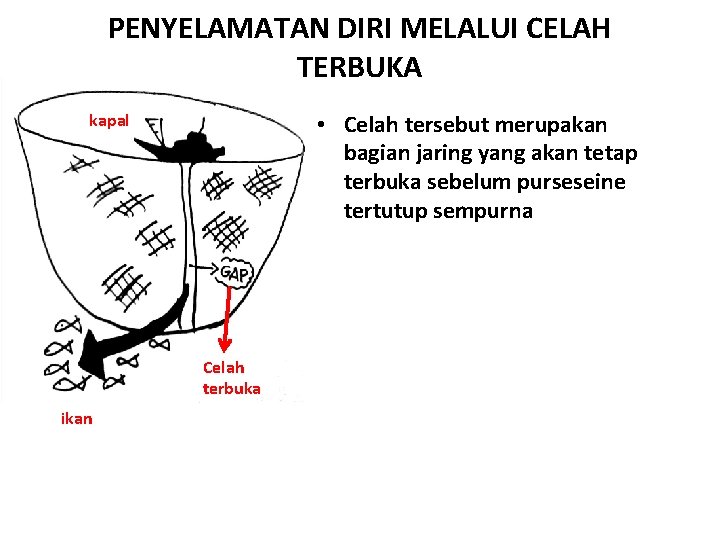 PENYELAMATAN DIRI MELALUI CELAH TERBUKA • Celah tersebut merupakan bagian jaring yang akan tetap