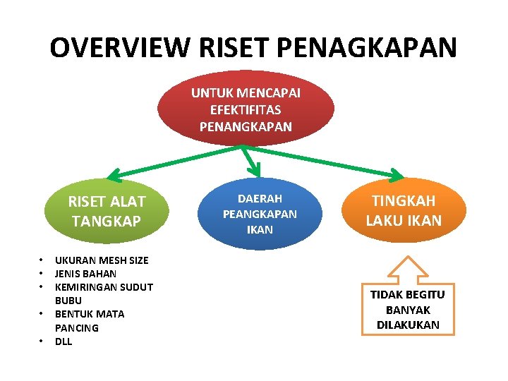 OVERVIEW RISET PENAGKAPAN UNTUK MENCAPAI EFEKTIFITAS PENANGKAPAN RISET ALAT TANGKAP • • • UKURAN