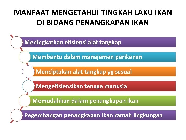 MANFAAT MENGETAHUI TINGKAH LAKU IKAN DI BIDANG PENANGKAPAN IKAN Meningkatkan efisiensi alat tangkap Membantu