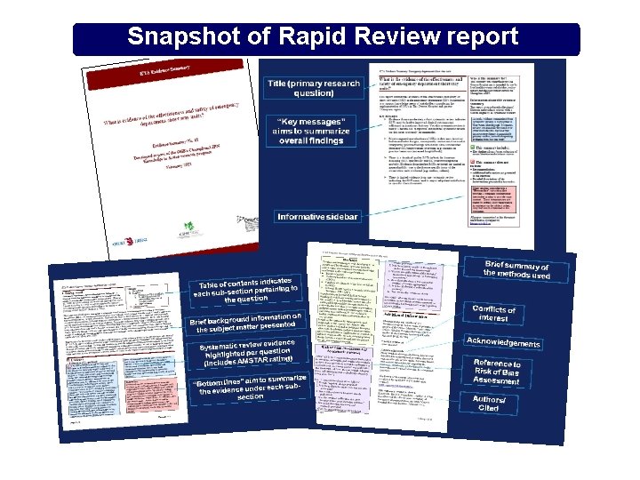 Snapshot of Rapid Review report 