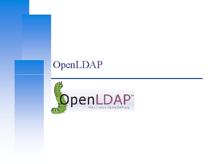 Open. LDAP 