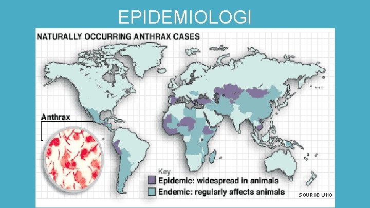 EPIDEMIOLOGI 