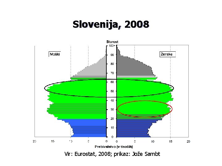 Slovenija, 2008 Vir: Eurostat, 2008; prikaz: Jože Sambt 