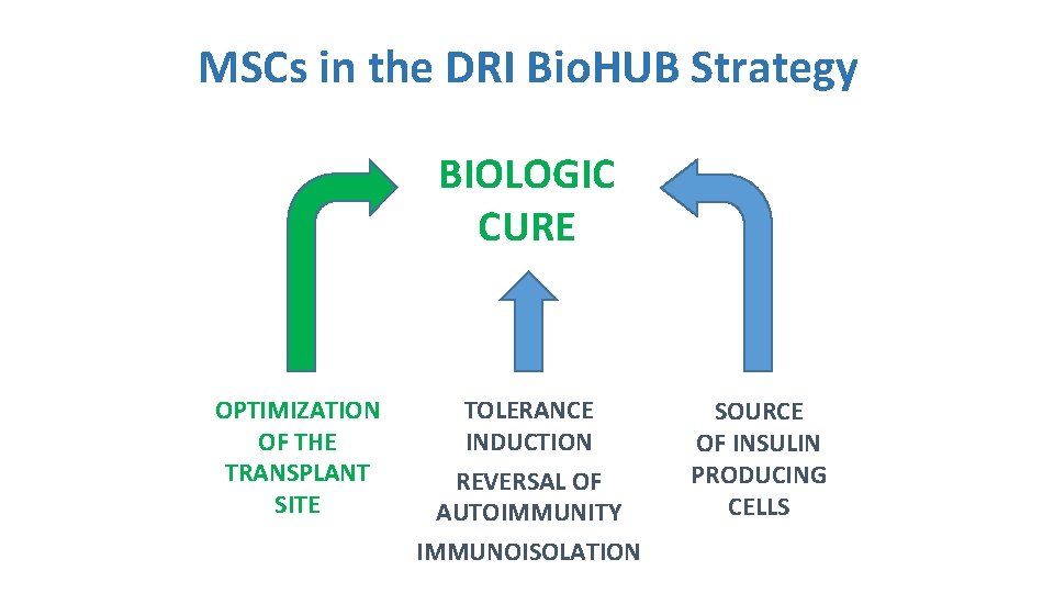 MSCs in the DRI Bio. HUB Strategy BIOLOGIC CURE OPTIMIZATION OF THE TRANSPLANT SITE