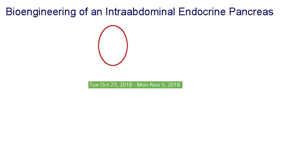 Bioengineering of an Intraabdominal Endocrine Pancreas 