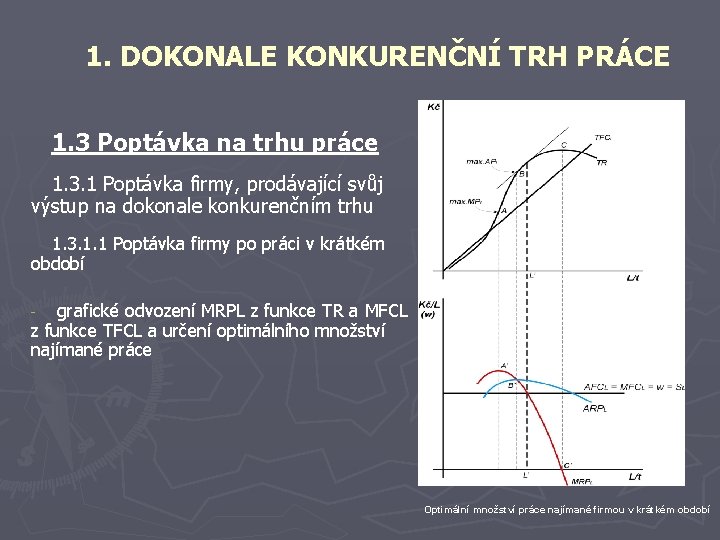 1. DOKONALE KONKURENČNÍ TRH PRÁCE 1. 3 Poptávka na trhu práce 1. 3. 1