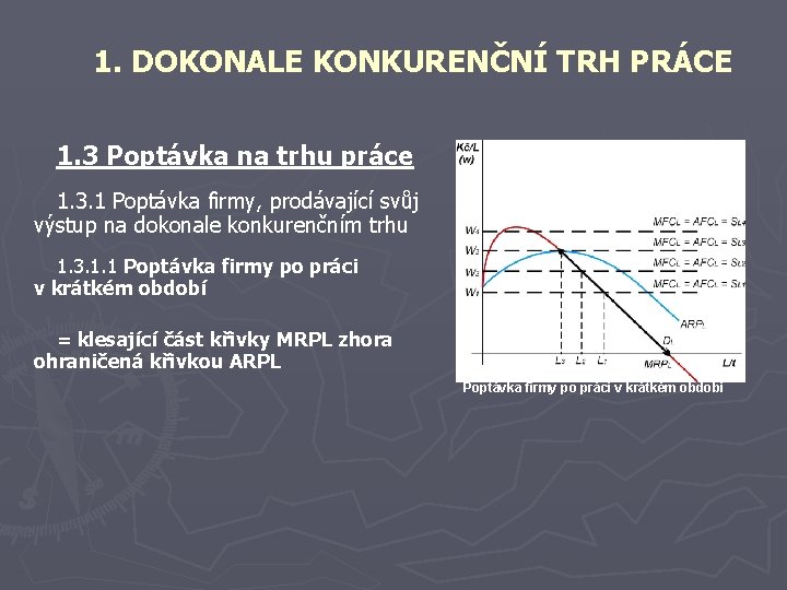 1. DOKONALE KONKURENČNÍ TRH PRÁCE 1. 3 Poptávka na trhu práce 1. 3. 1