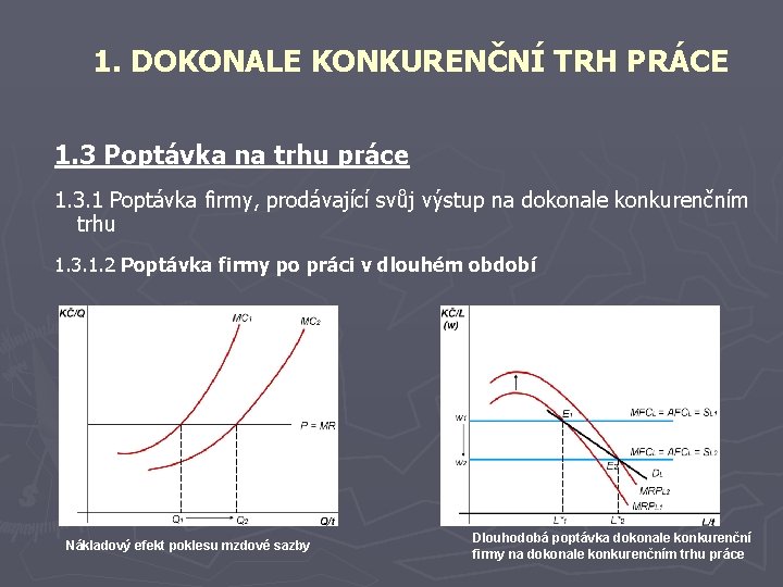 1. DOKONALE KONKURENČNÍ TRH PRÁCE 1. 3 Poptávka na trhu práce 1. 3. 1