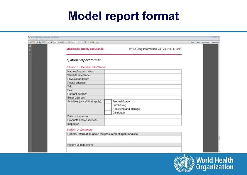 Model report format 