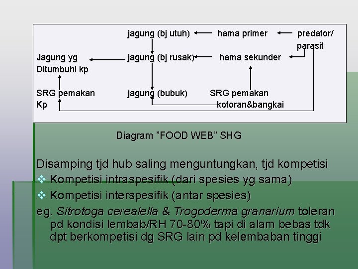 jagung (bj utuh) hama primer Jagung yg Ditumbuhi kp jagung (bj rusak) hama sekunder jagung (bj utuh) hama primer Jagung yg Ditumbuhi kp jagung (bj rusak) hama sekunder