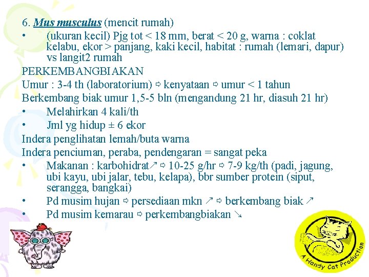 6. Mus musculus (mencit rumah) • (ukuran kecil) Pjg tot < 18 mm, berat 6. Mus musculus (mencit rumah) • (ukuran kecil) Pjg tot < 18 mm, berat