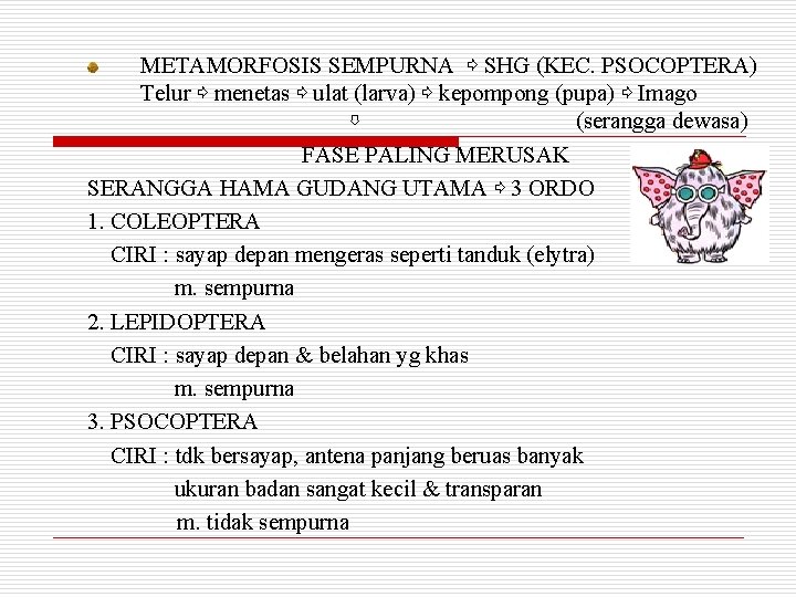 METAMORFOSIS SEMPURNA ⇨ SHG (KEC. PSOCOPTERA) Telur ⇨ menetas ⇨ ulat (larva) ⇨ kepompong METAMORFOSIS SEMPURNA ⇨ SHG (KEC. PSOCOPTERA) Telur ⇨ menetas ⇨ ulat (larva) ⇨ kepompong
