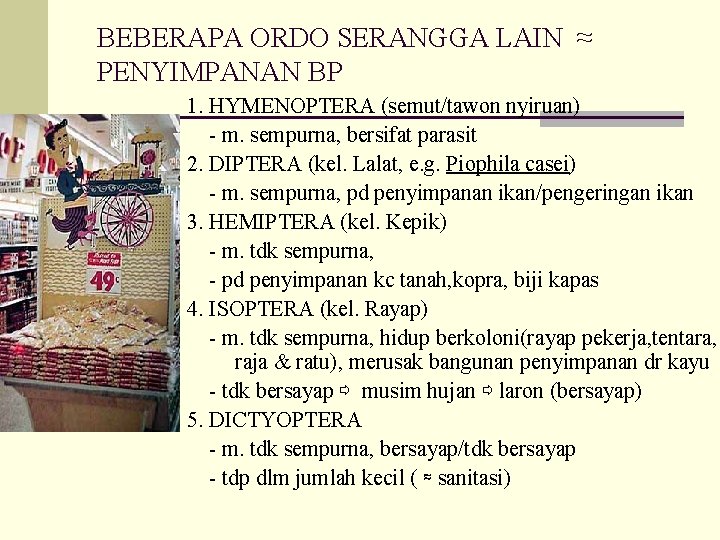BEBERAPA ORDO SERANGGA LAIN ≈ PENYIMPANAN BP 1. HYMENOPTERA (semut/tawon nyiruan) - m. sempurna, BEBERAPA ORDO SERANGGA LAIN ≈ PENYIMPANAN BP 1. HYMENOPTERA (semut/tawon nyiruan) - m. sempurna,
