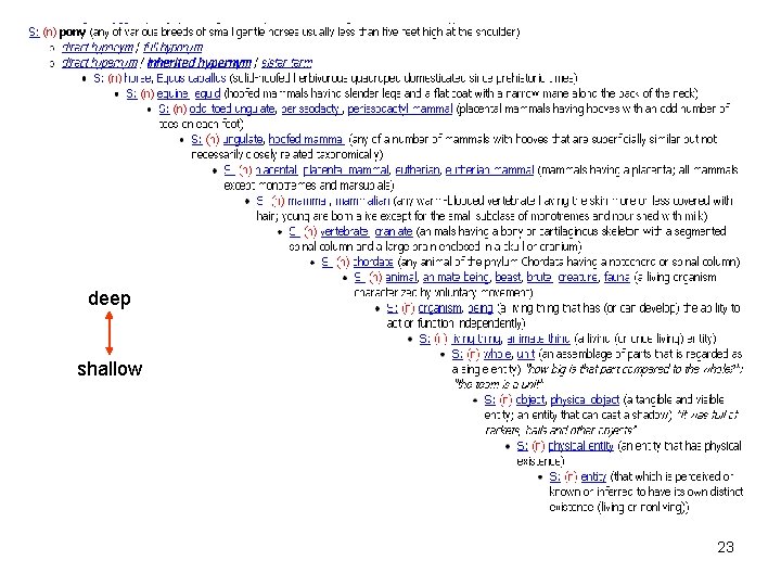 deep shallow 23 deep shallow 23