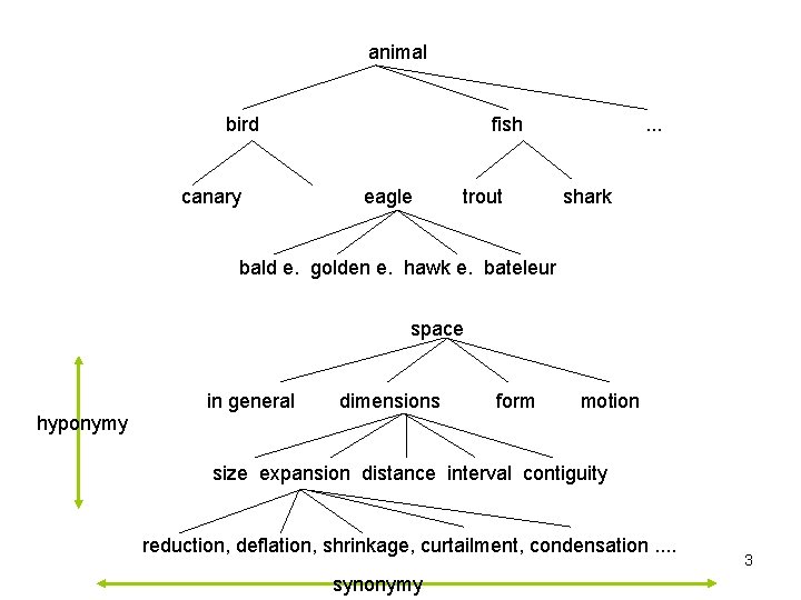 animal bird canary fish eagle trout . . . shark bald e. golden e. animal bird canary fish eagle trout . . . shark bald e. golden e.