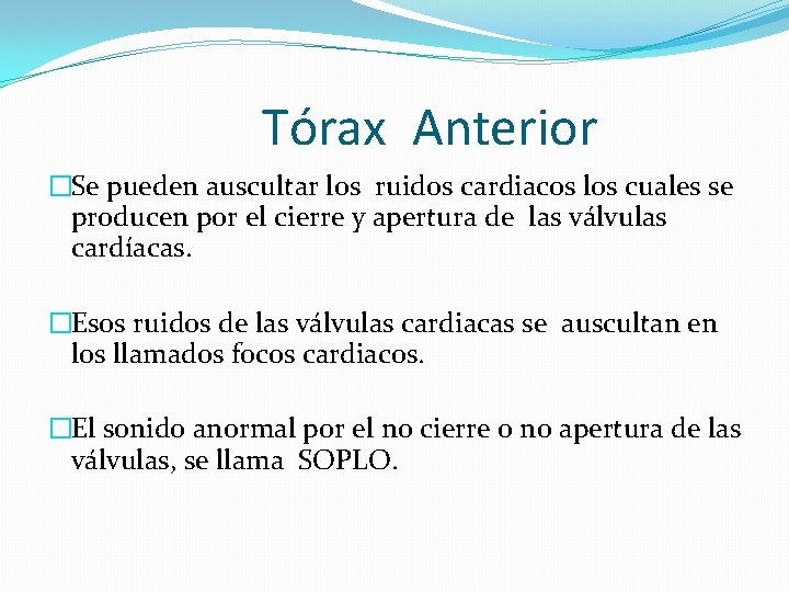 Tórax Anterior �Se pueden auscultar los ruidos cardiacos los cuales se producen por el