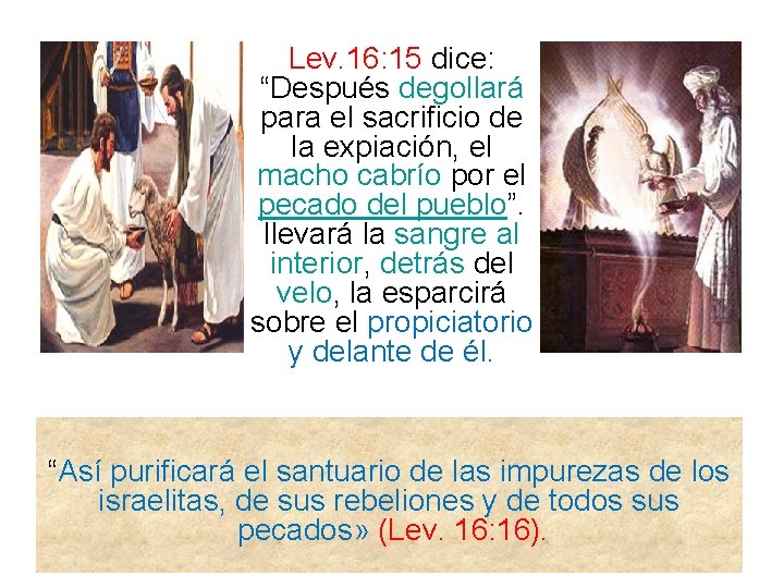 Lev. 16: 15 dice: “Después degollará para el sacrificio de la expiación, el macho