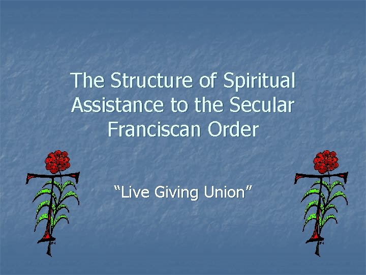 The Structure of Spiritual Assistance to the Secular Franciscan Order “Live Giving Union” 