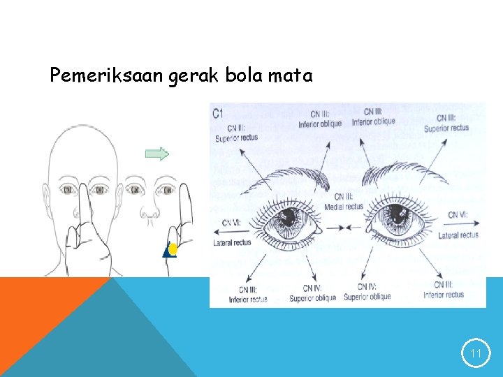 Pemeriksaan gerak bola mata 11 