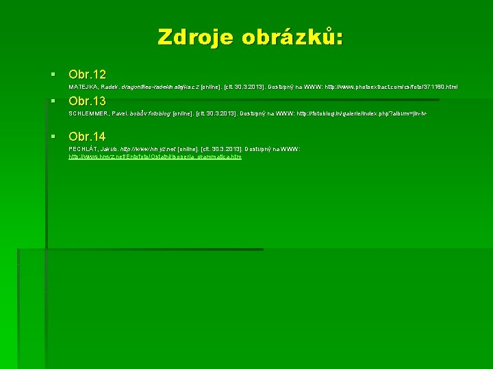 Zdroje obrázků: § Obr. 12 MATEJKA, Radek. dragonflies-radekmatejka. cz [online]. [cit. 30. 3. 2013].