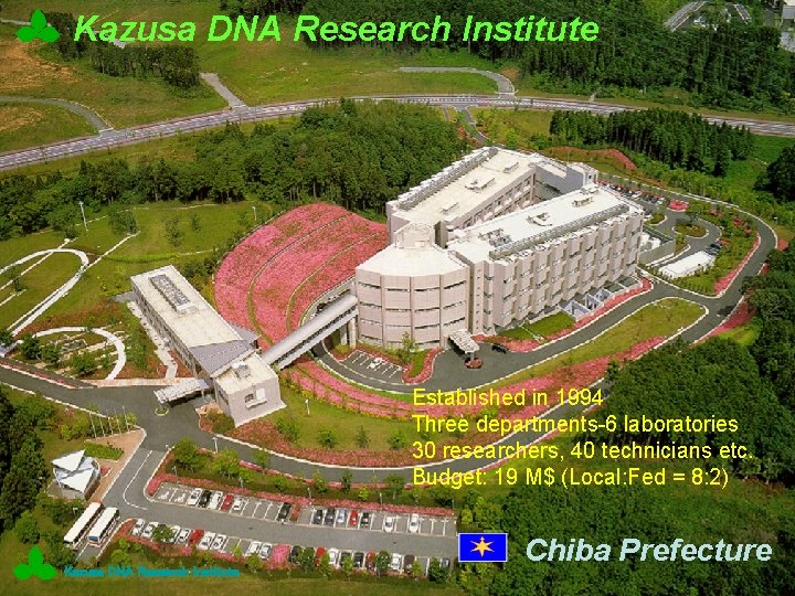 Kazusa DNA Research Institute Established in 1994 Three departments-6 laboratories 30 researchers, 40 technicians