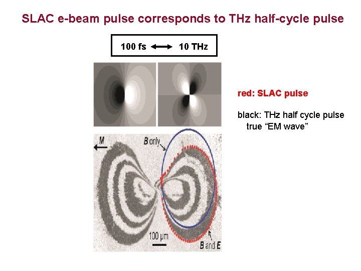 SLAC e-beam pulse corresponds to THz half-cycle pulse 100 fs 10 THz red: SLAC