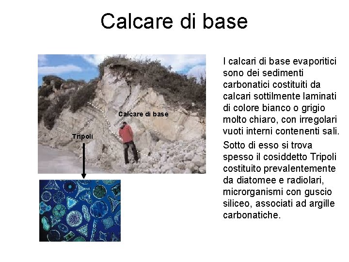 Calcare di base Tripoli I calcari di base evaporitici sono dei sedimenti carbonatici costituiti