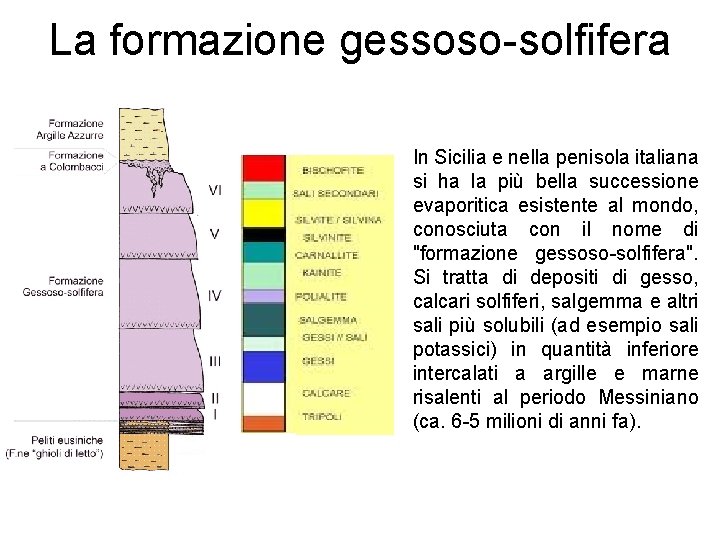 La formazione gessoso-solfifera In Sicilia e nella penisola italiana si ha la più bella
