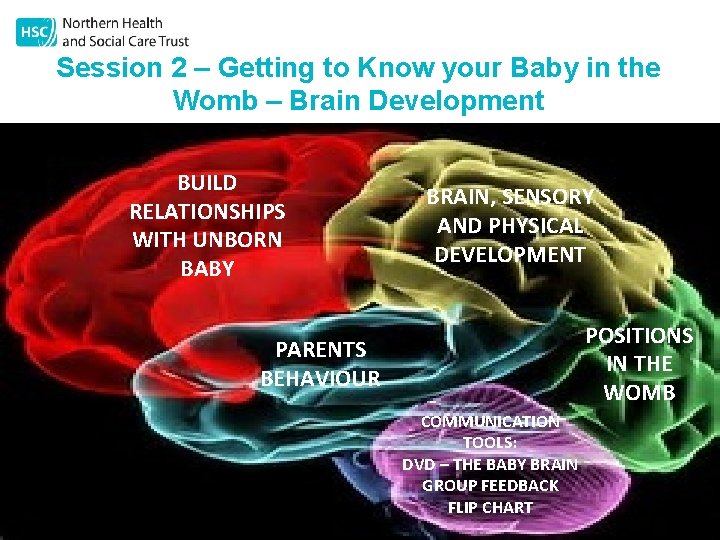 Session 2 – Getting to Know your Baby in the Womb – Brain Development