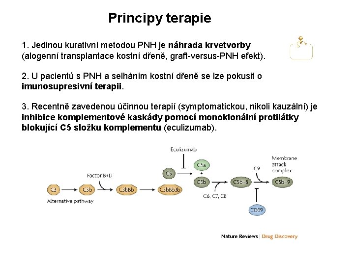 Principy terapie 1. Jedinou kurativní metodou PNH je náhrada krvetvorby (alogenní transplantace kostní dřeně,