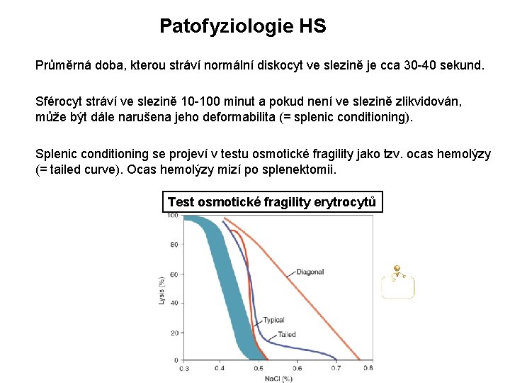 Patofyziologie HS Průměrná doba, kterou stráví normální diskocyt ve slezině je cca 30 -40 Patofyziologie HS Průměrná doba, kterou stráví normální diskocyt ve slezině je cca 30 -40