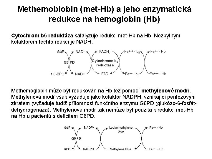 Methemoblobin (met-Hb) a jeho enzymatická redukce na hemoglobin (Hb) Cytochrom b 5 reduktáza katalyzuje Methemoblobin (met-Hb) a jeho enzymatická redukce na hemoglobin (Hb) Cytochrom b 5 reduktáza katalyzuje