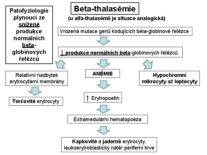 Patofyziologie plynoucí ze snížené produkce normálních betaglobinových řetězců Beta-thalasémie (u alfa-thalasémií je situace analogická)