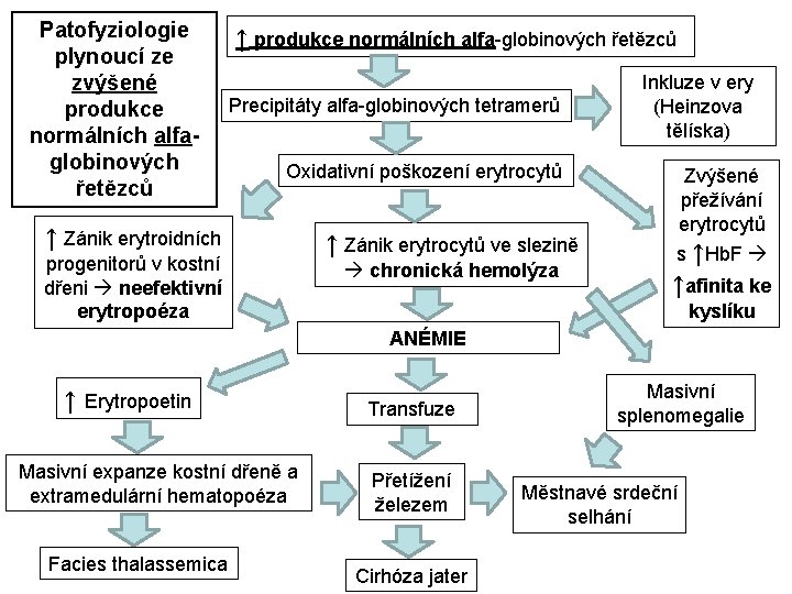 Patofyziologie plynoucí ze zvýšené produkce normálních alfaglobinových řetězců ↑ produkce normálních alfa-globinových řetězců Precipitáty