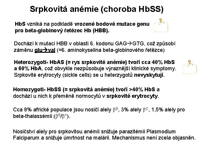 Srpkovitá anémie (choroba Hb. SS) Hb. S vzniká na podkladě vrozené bodové mutace genu