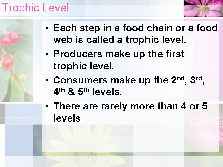 Trophic Level • Each step in a food chain or a food web is
