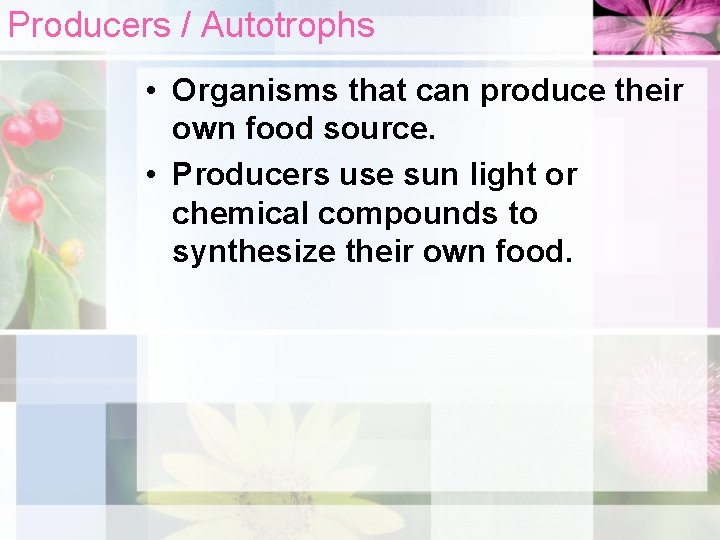 Producers / Autotrophs • Organisms that can produce their own food source. • Producers