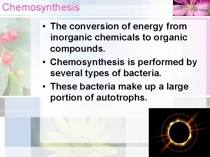 Chemosynthesis • The conversion of energy from inorganic chemicals to organic compounds. • Chemosynthesis