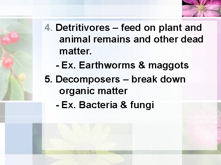 4. Detritivores – feed on plant and animal remains and other dead matter. -