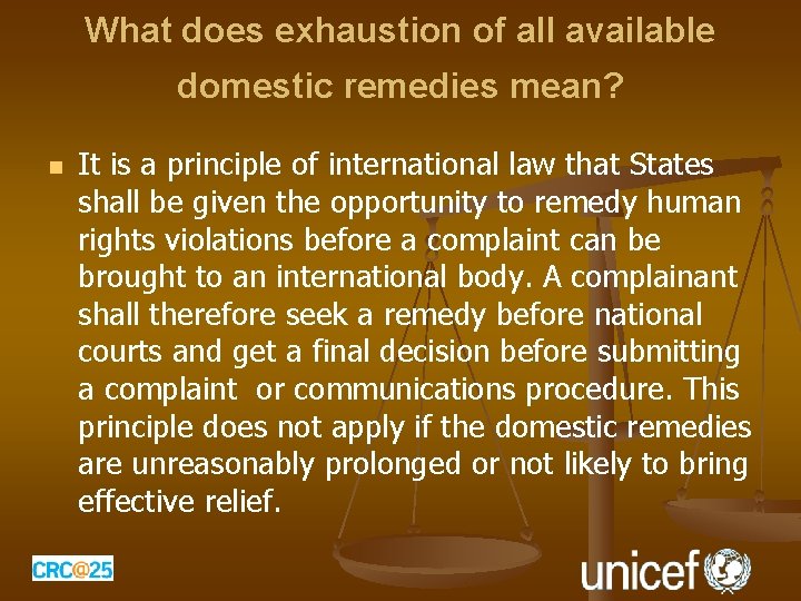 What does exhaustion of all available domestic remedies mean? n It is a principle What does exhaustion of all available domestic remedies mean? n It is a principle