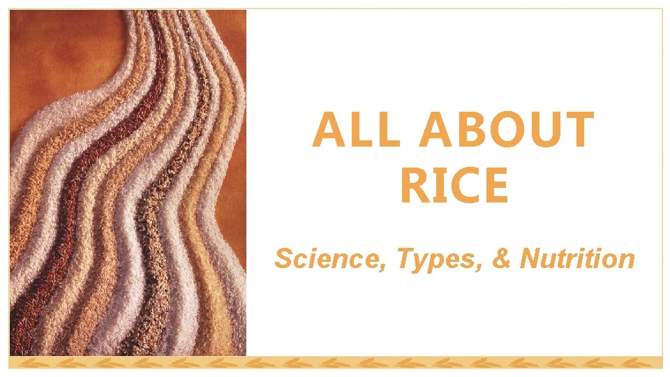 ALL ABOUT RICE Science, Types, & Nutrition 