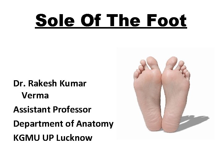 Sole Of The Foot Dr. Rakesh Kumar Verma Assistant Professor Department of Anatomy KGMU