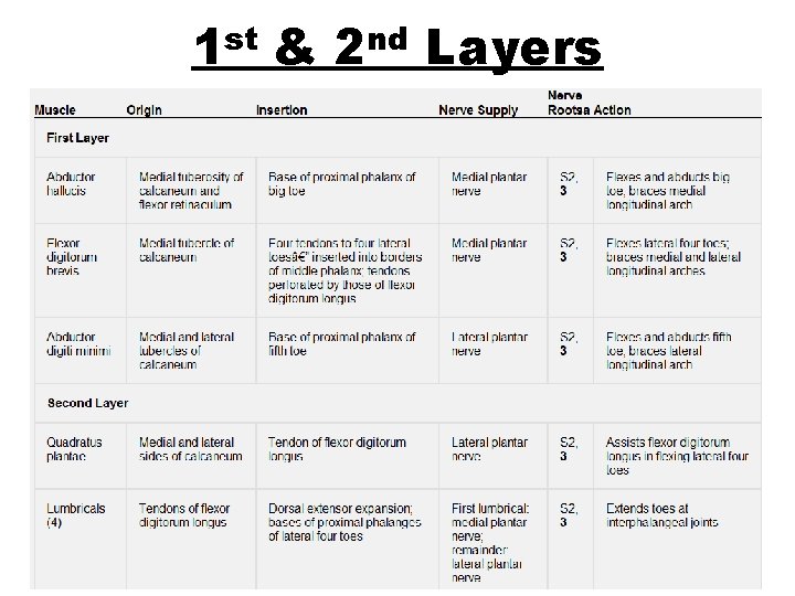 1 st & 2 nd Layers 