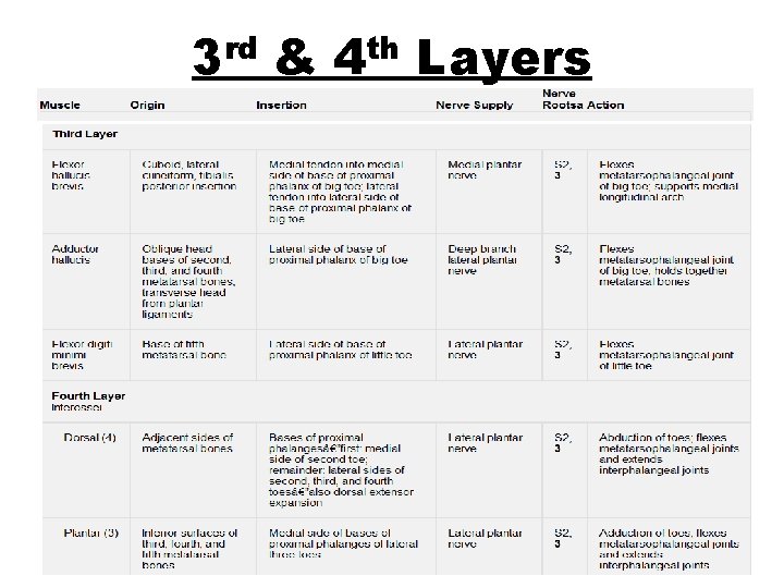 3 rd & 4 th Layers 