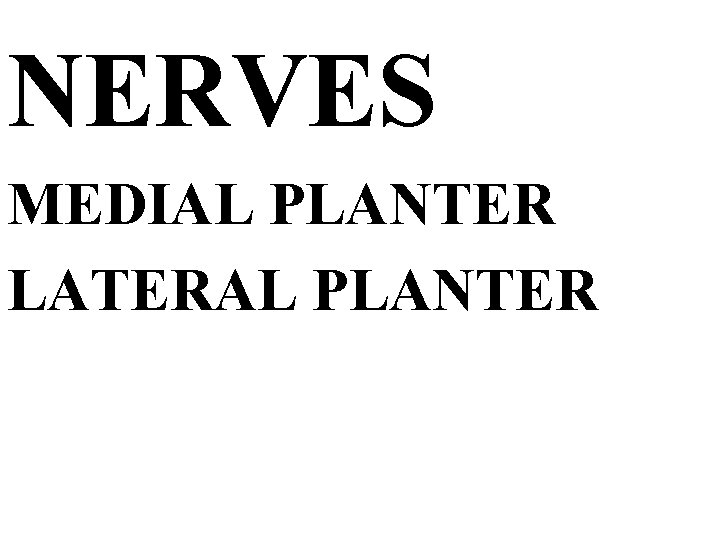 NERVES MEDIAL PLANTER LATERAL PLANTER 