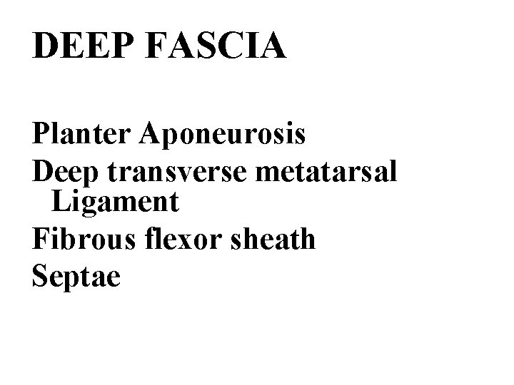 DEEP FASCIA Planter Aponeurosis Deep transverse metatarsal Ligament Fibrous flexor sheath Septae 