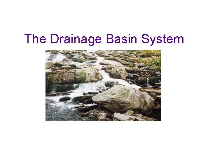 The Drainage Basin System 