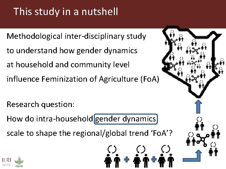 This study in a nutshell Methodological inter-disciplinary study to understand how gender dynamics at